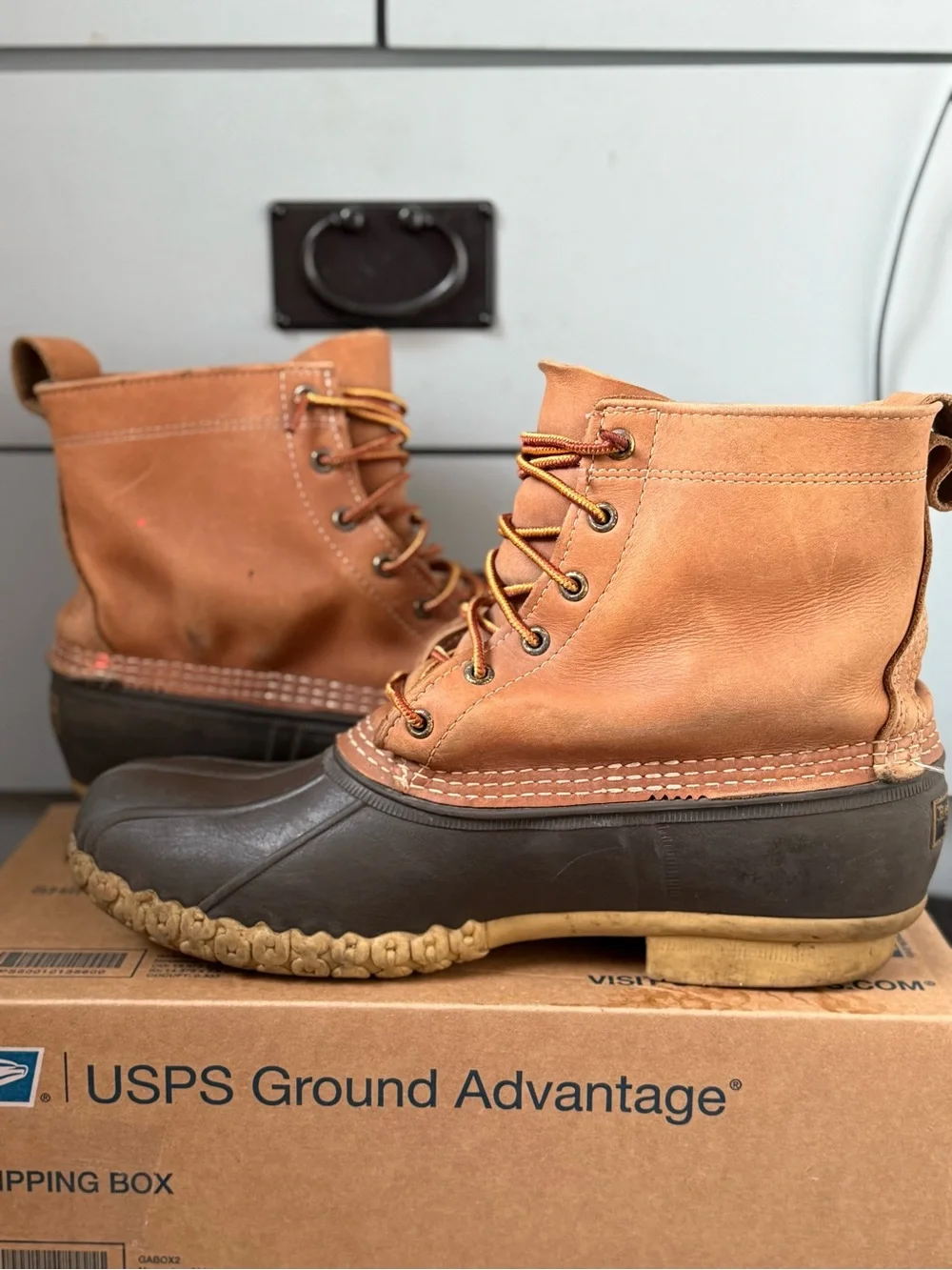 L.L. Bean bean lace